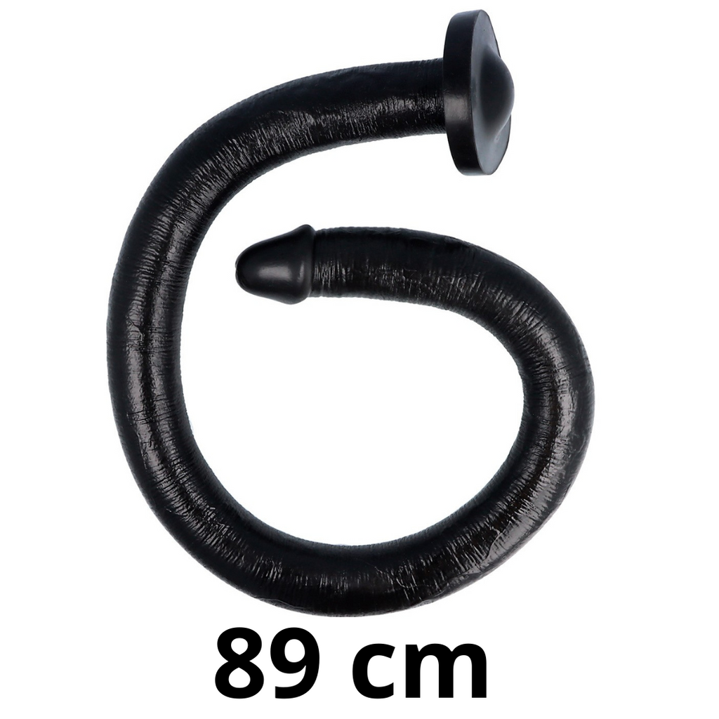 SW4