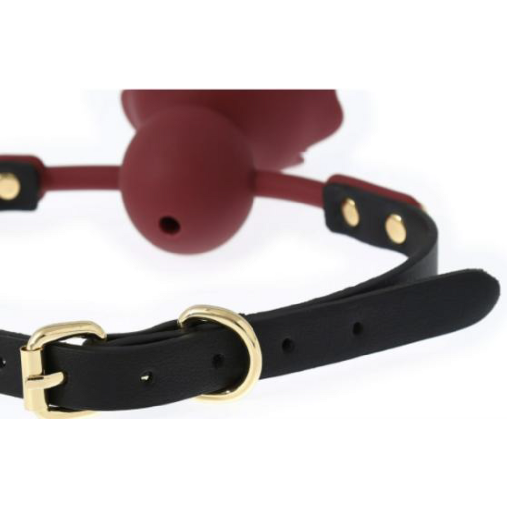 VSC Novelty - Ball Gag in Silicone con Rosa