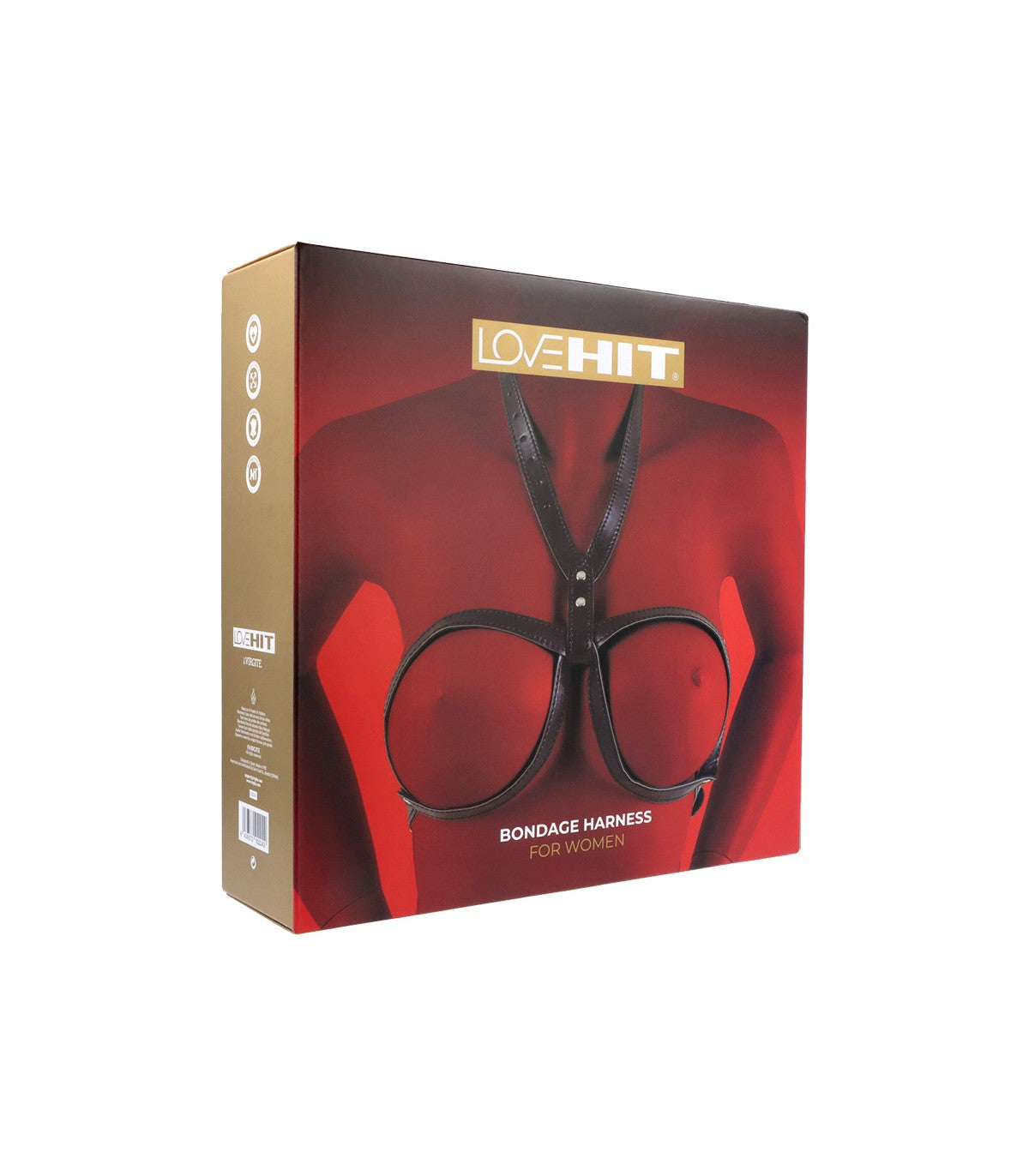 IMBRACATURA TORACICA DONNA MOD. 1