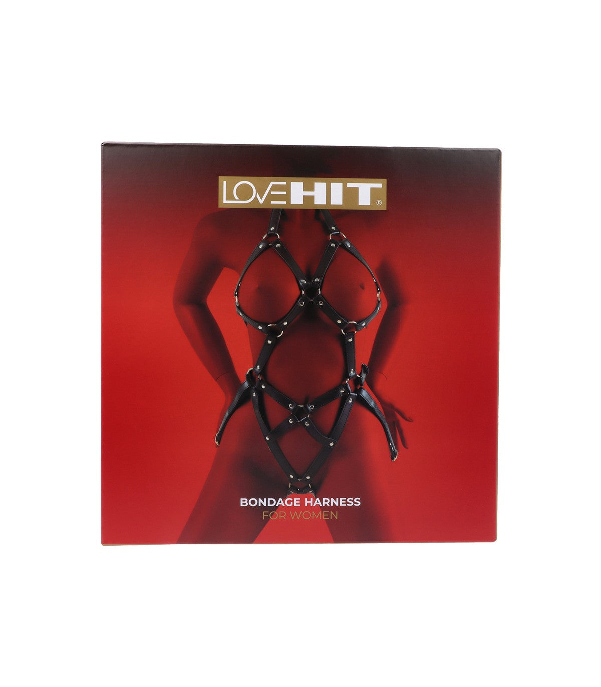 IMBRACATURA DONNA MOD. 2