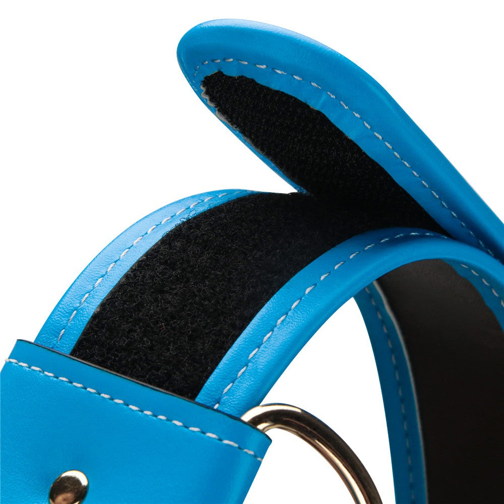Set di cinghie vibranti potenziate da 8'' L/XL/2XL