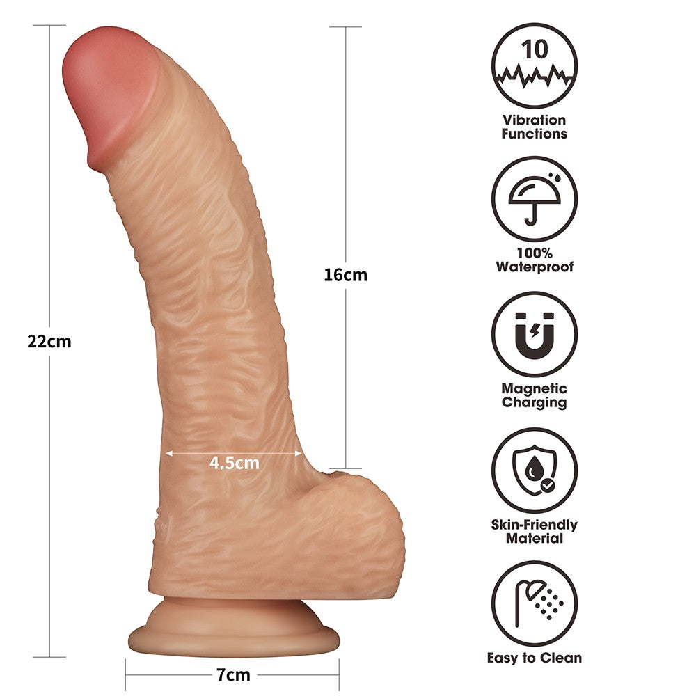 Set di cinghie vibranti potenziate da 8,5'' L/XL/2XL